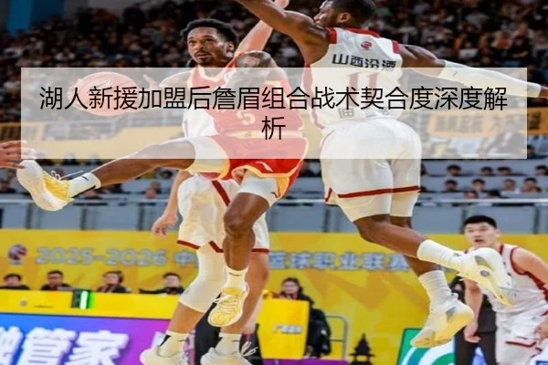 湖人新援加盟后詹眉组合战术契合度深度解析
